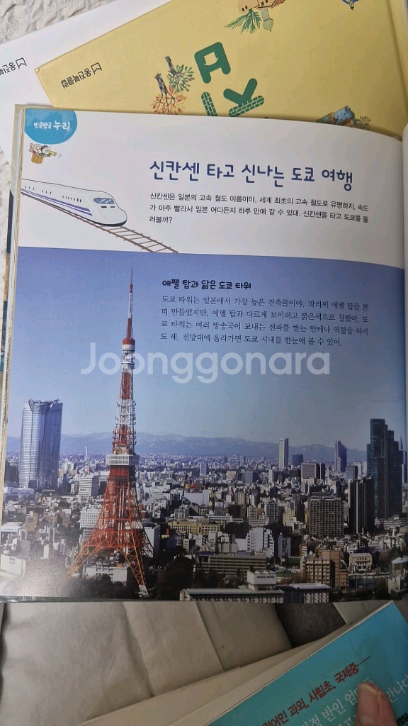 누리 세계문화--2