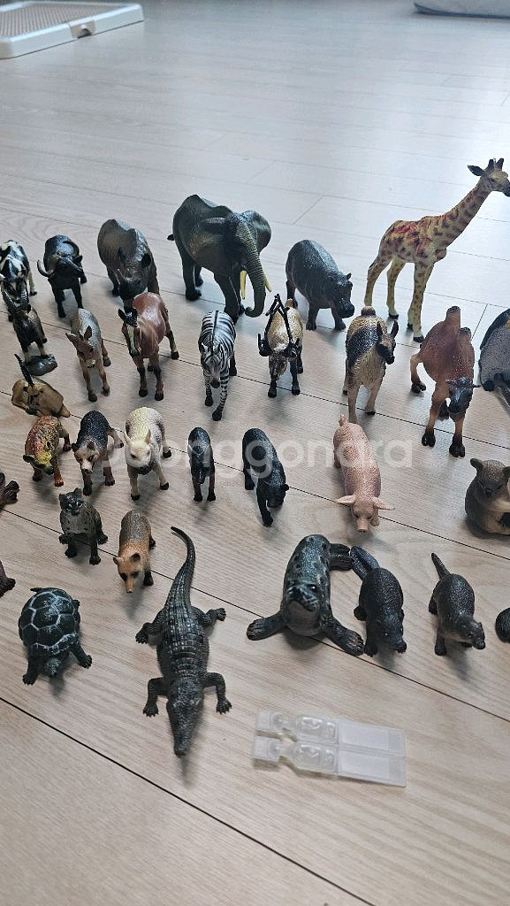 동물 피규어 세트--1