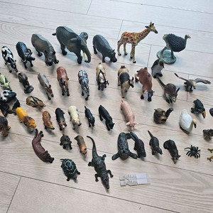 동물 피규어 세트
