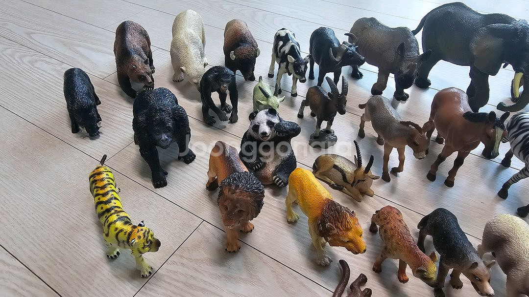 동물 피규어 세트--2