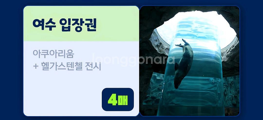 아쿠아플라넷 여수 입장권 4인--0
