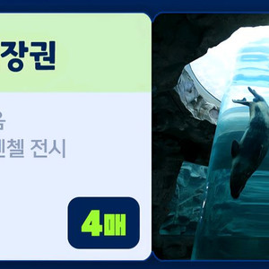 아쿠아플라넷 여수 입장권 4인