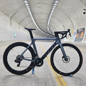 급처)220 자이언트 프로펠 이탭 axs 판매/대차합니다