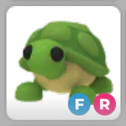 입양하세요 거북--0