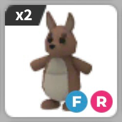 입양하세요 캥거루