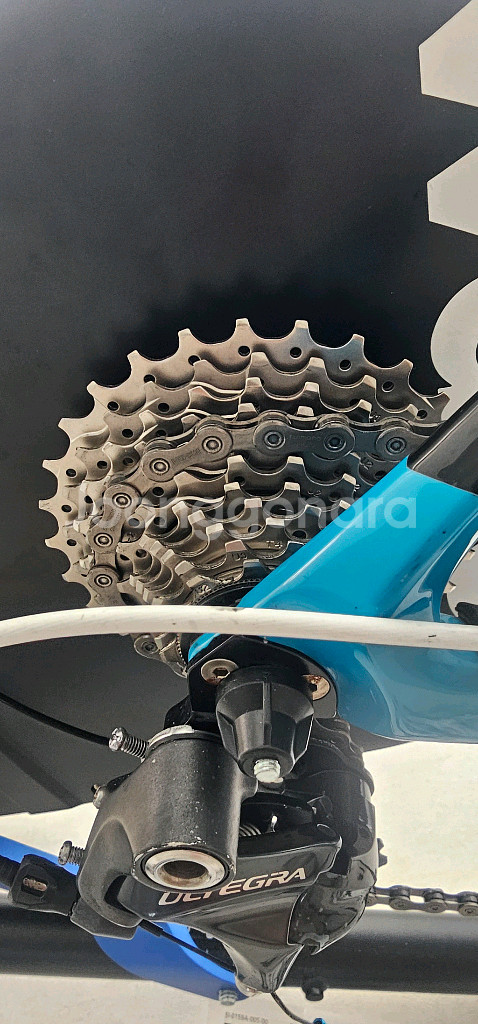 와후 키커 6세대 신품급--1