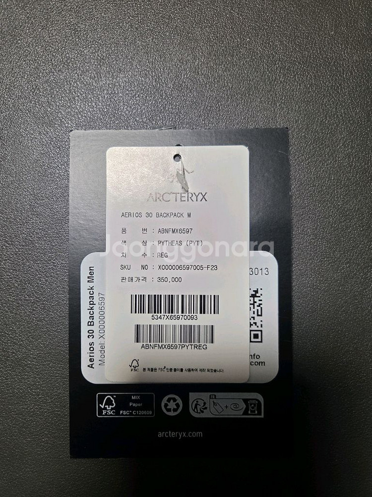 아크테릭스 에어리어스 30 (레귤러)--4