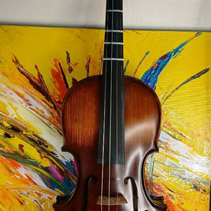 어린이 바이올린 1/2 풀세트