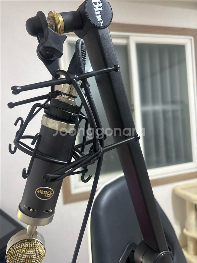 블루 baby bottle sl 콘덴서 마이크--0