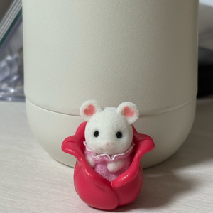 실바니안 마시멜로쥐