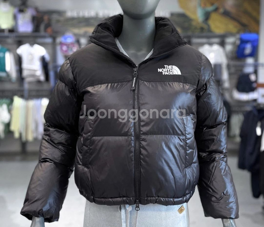 노스페이스 눕시 온 여성 패딩--0