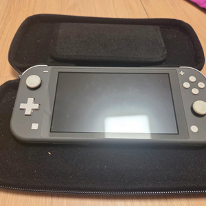 닌텐도 스위치 라이트