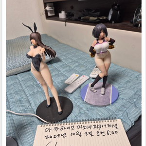 성인 피규어 , 미소녀 피규어 대량 판매