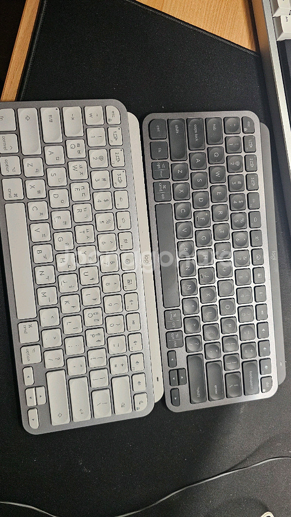 로지텍 MX keys mini win & mac--0