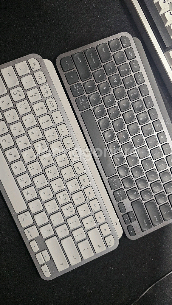 로지텍 MX keys mini win & mac--1