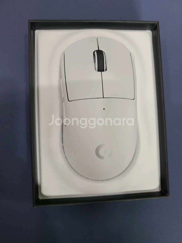 로지텍 지슈라 2c 화이트--2