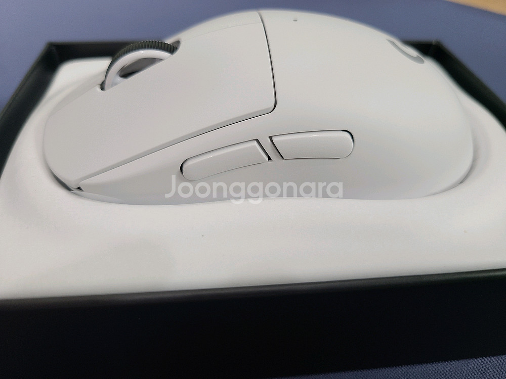 로지텍 지슈라 2c 화이트--1