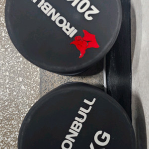 아이언볼 20kg 덤벨 한 쌍