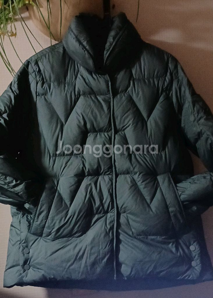 꼼빠니아 초경량 덕다운 숏패딩--3