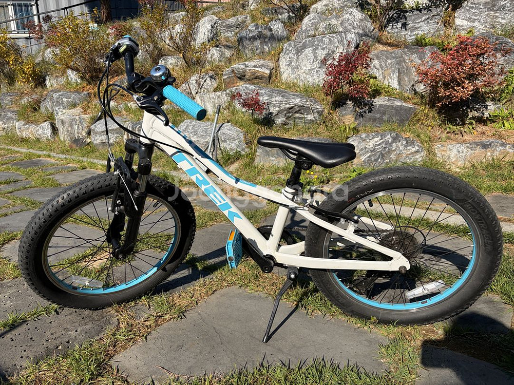 20인치 아동용 자전거--0