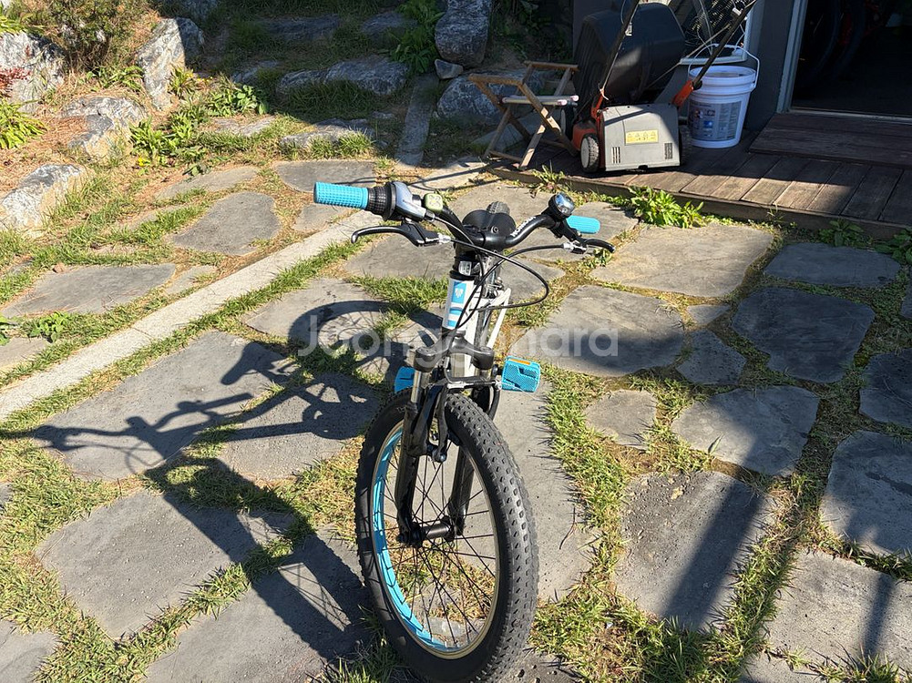 20인치 아동용 자전거--2