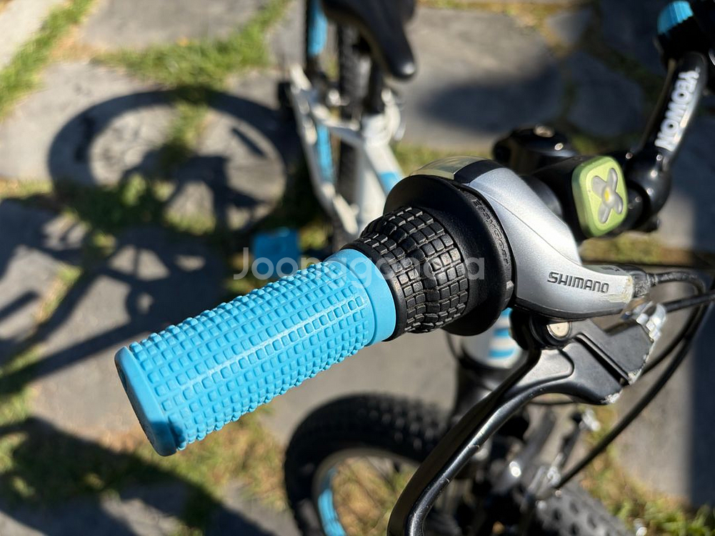 20인치 아동용 자전거--3