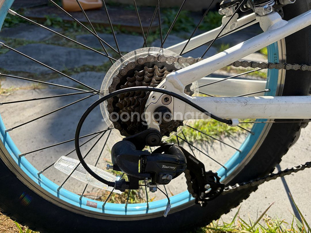 20인치 아동용 자전거--5