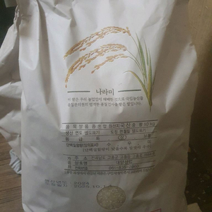 쌀 10kg