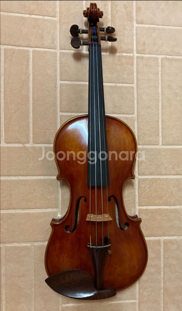 이종대 수제 고급 바이올린 lv-grace 저렴하게--0