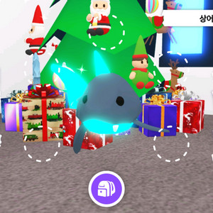 입양하세요 네날타 상어