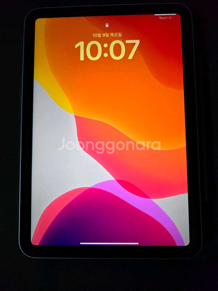 아이패드 미니 6 64GB WiFi--0
