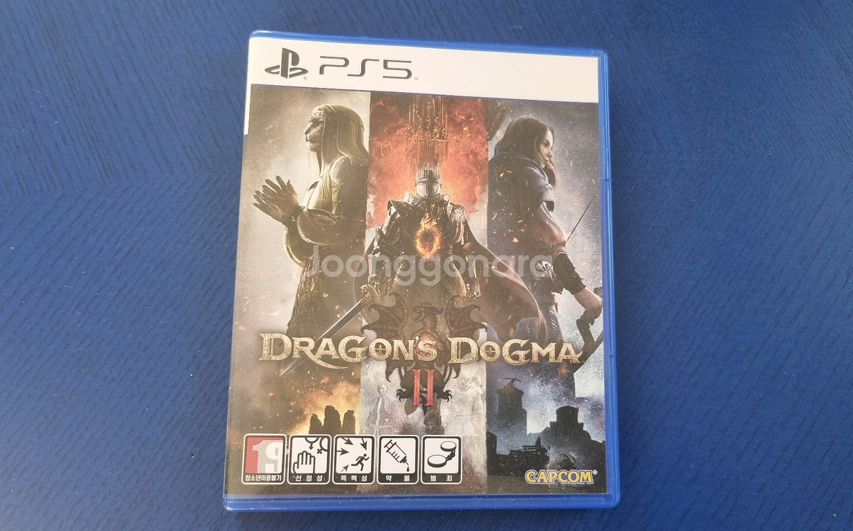 PS5 드래곤즈 도그마2--0
