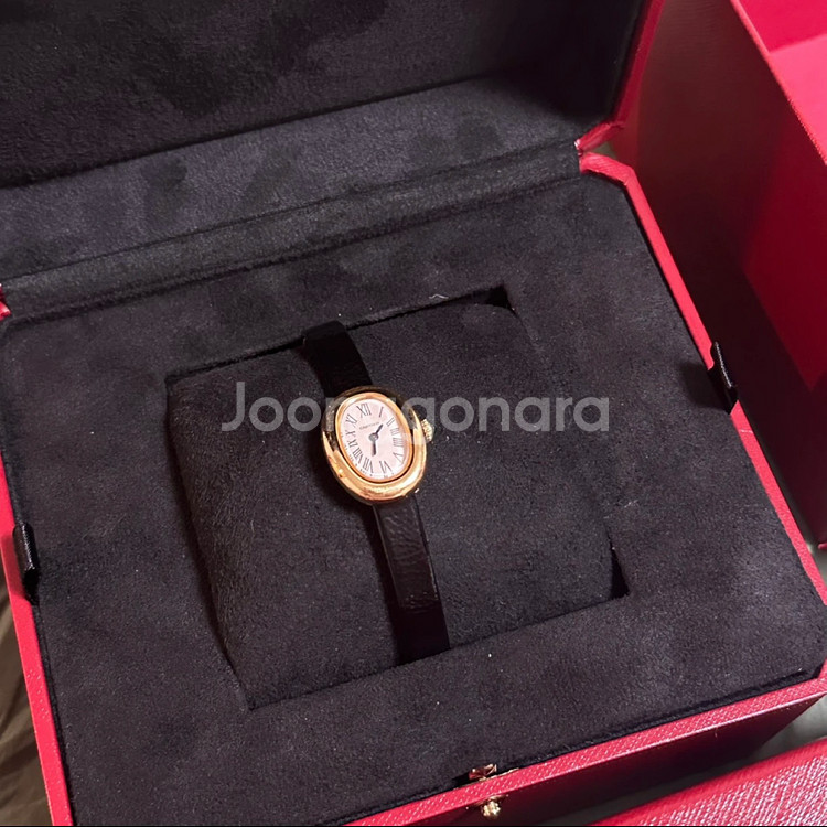 까르띠에 베누아 미니--0