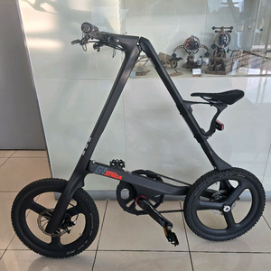 스트라이다c1 카본 한정판 S급 팝니다.