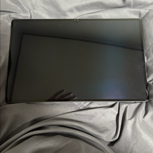 갤럭시 탭 S9 울트라 256gb