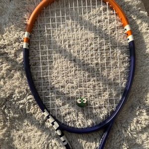 윌슨 블레이드 98 v8 롤랑가로스 라켓