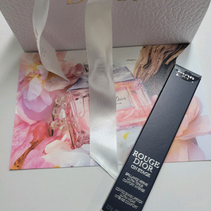 드디올 루쥬 온스테이지 120 아이코닉 로즈 쉐이드