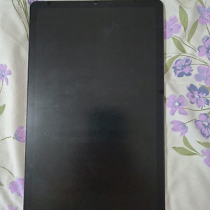 갤럭시 탭 S6 라이트