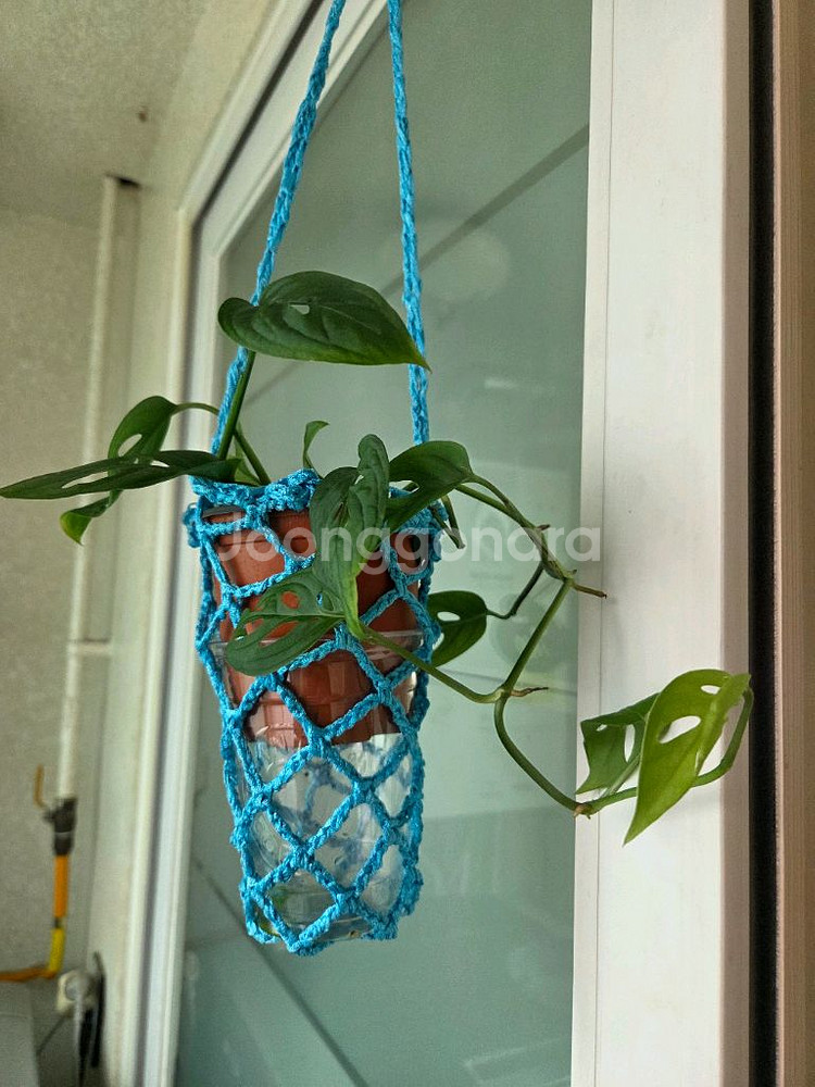 스킨답서스.옥시브라질.라니아타 행잉주머니 4종--7