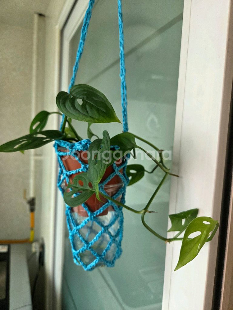 스킨답서스.옥시브라질.라니아타 행잉주머니 4종--8