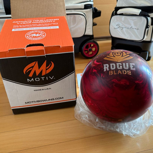 볼링 볼링공 볼링가방 스톰볼링 볼링 모티브볼링공 볼링세