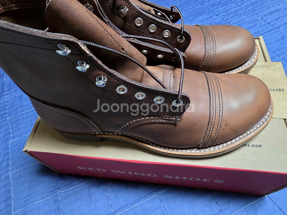 레드윙 아이언레인저 8111 앰버하니스 255--1