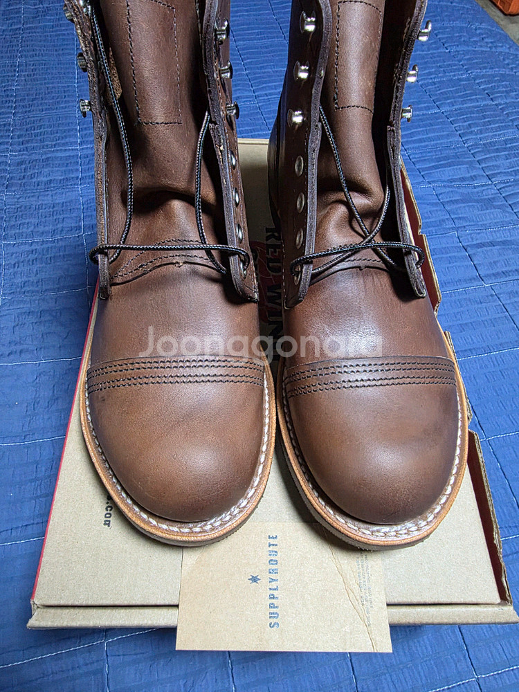 레드윙 아이언레인저 8111 앰버하니스 255--0