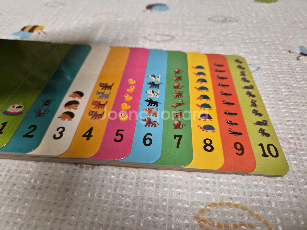 프뢰벨 수과학프로그램 (교구 5종 모두 포함)--3