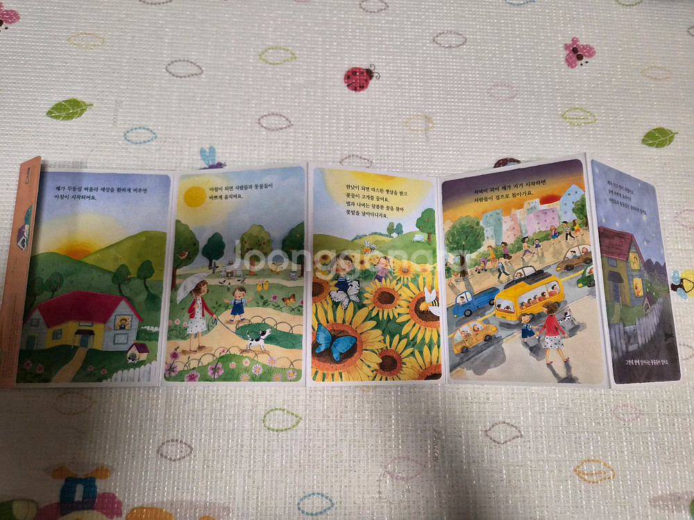 프뢰벨 수과학프로그램 (교구 5종 모두 포함)--4