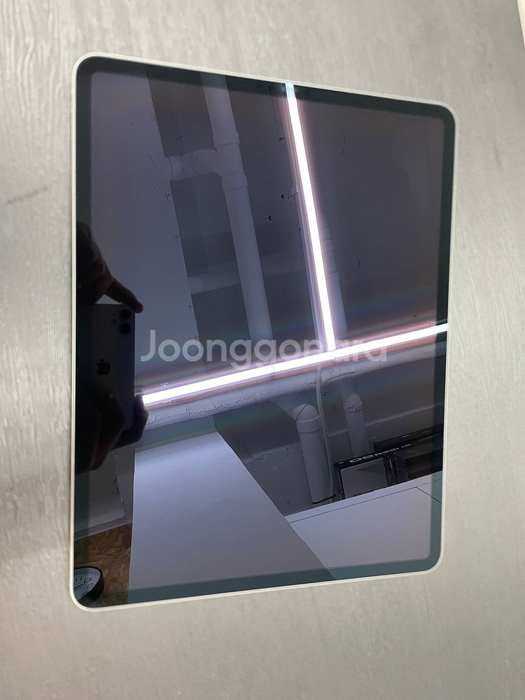 아이패드 프로 12.9 4세대 256GB 스페이스그레이--1