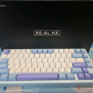 아콘리얼hx 스노우문 블루 바이올렛 축