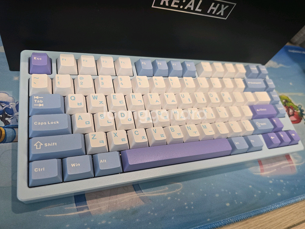 아콘리얼hx 스노우문 블루 바이올렛 축--1