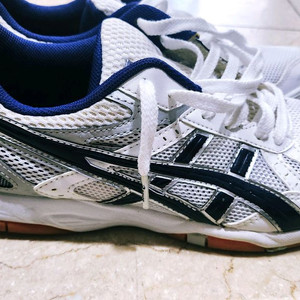 로테리브레 255 s급 체대입시화