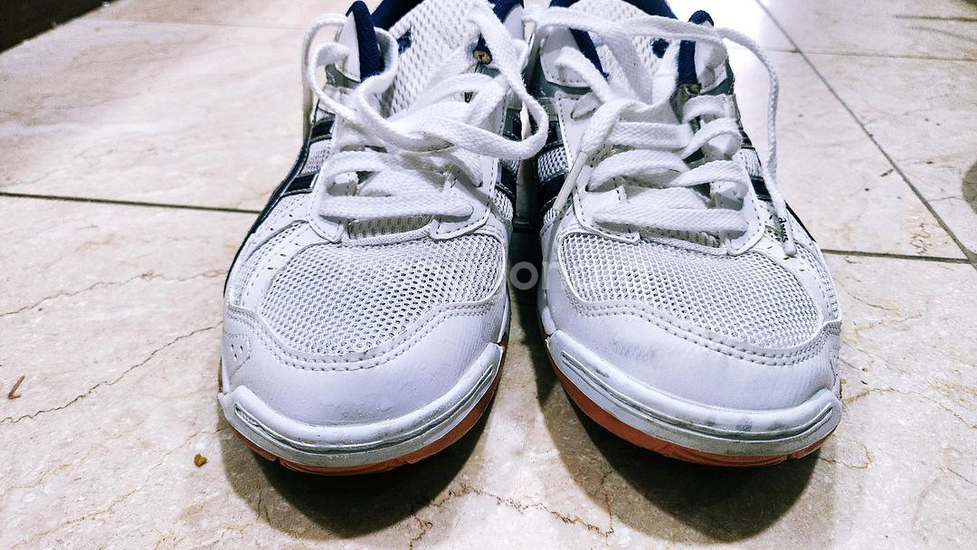 로테리브레 255 s급 체대입시화--2